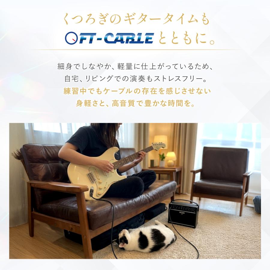 【希少】ギター・ケーブルの本 FTーCABLE ギターケーブル ギターシールド 5m S-S ヒビノ FT-CABLE