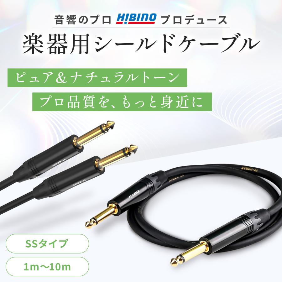 FTーCABLE ギターケーブル ギターシールド 10m S-S ヒビノ FT-CABLE