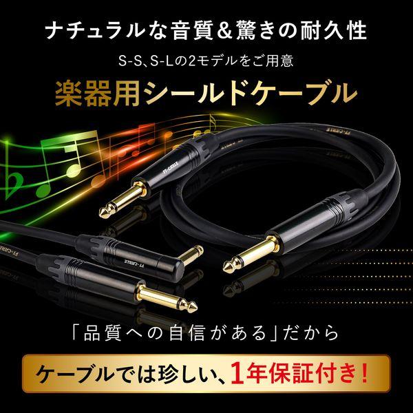 FTーCABLE ギターケーブル ギターシールド 10m S-S ヒビノ FT-CABLE