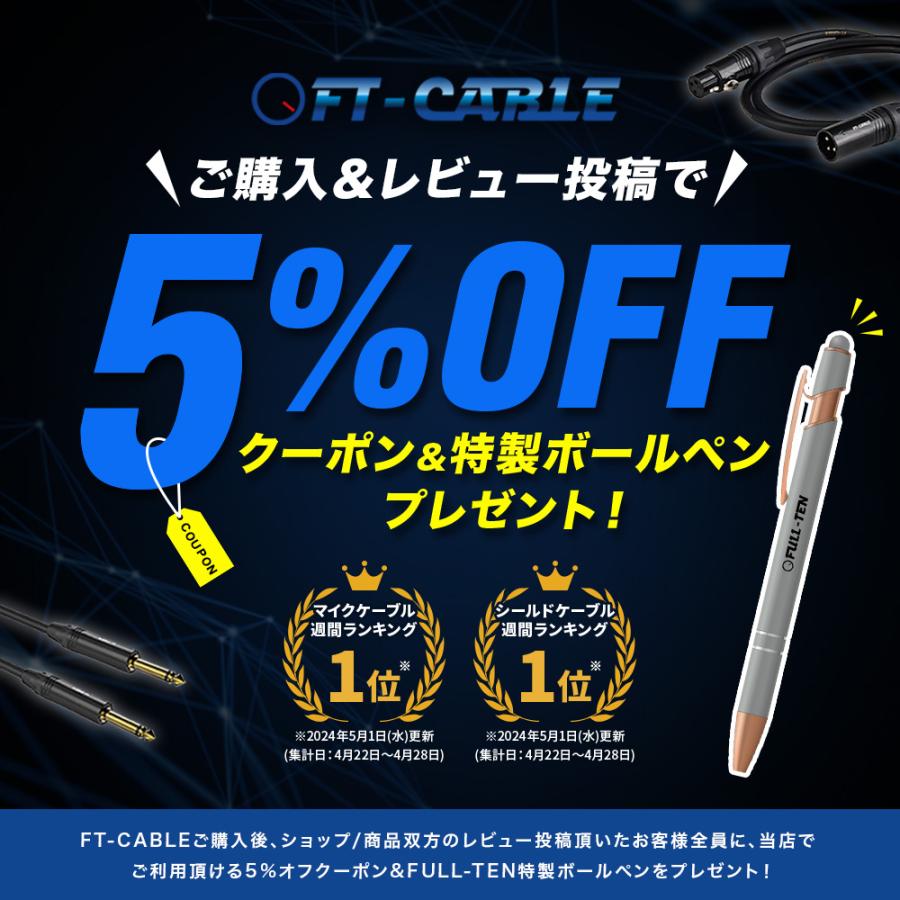FTーCABLE ギターケーブル ギターシールド 10m S-S ヒビノ FT-CABLE