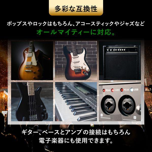 FTーCABLE ギターケーブル ギターシールド 10m S-S ヒビノ FT-CABLE