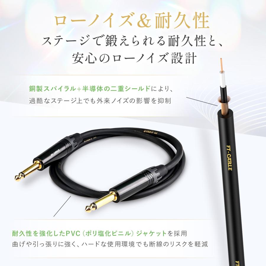 FTーCABLE ギターケーブル ギターシールド 10m S-S ヒビノ FT-CABLE