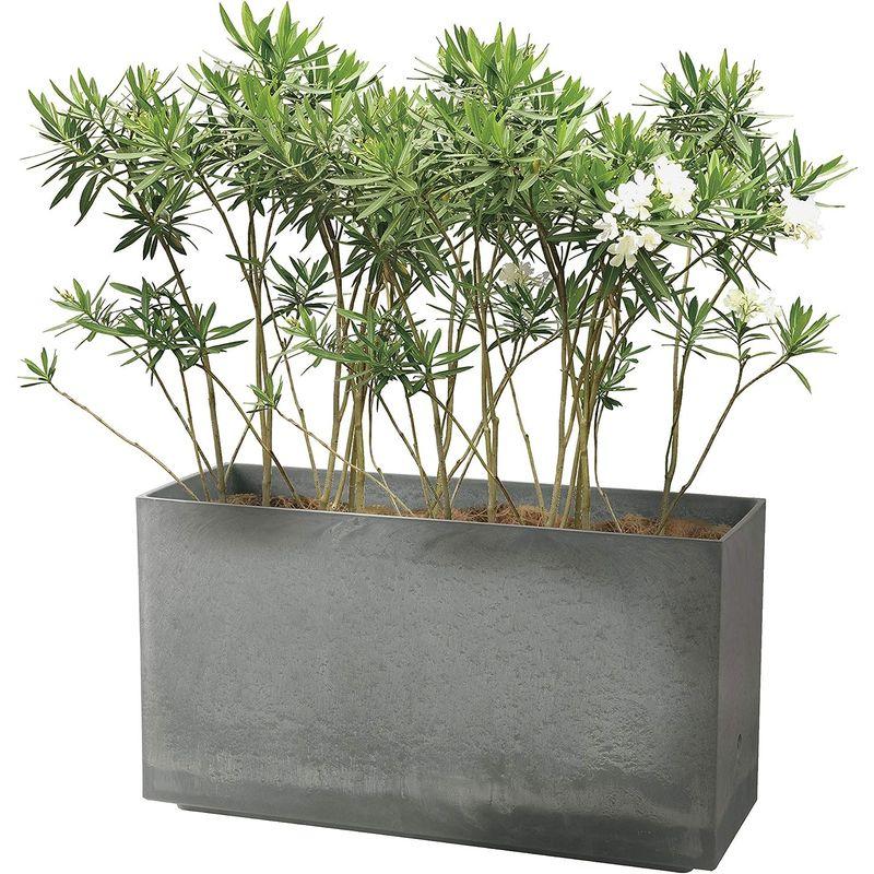 リッチェル 大型プランター 陶器風 ライトグレー 80×29.5×45cm ラヴィーレWS レクタングル 80型 底面給水機能付き 7090 グリーンポット バスク プランター 100cm グレー GA-0299GY IQY2450210944(24285円)