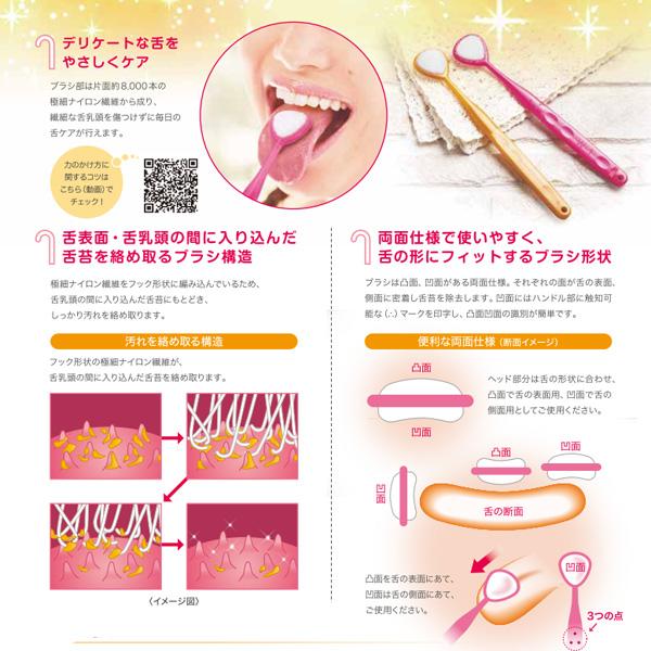 【12個セット】松風 舌ケア　プレミアム　キャメル　6本入(4548162300295-12)
