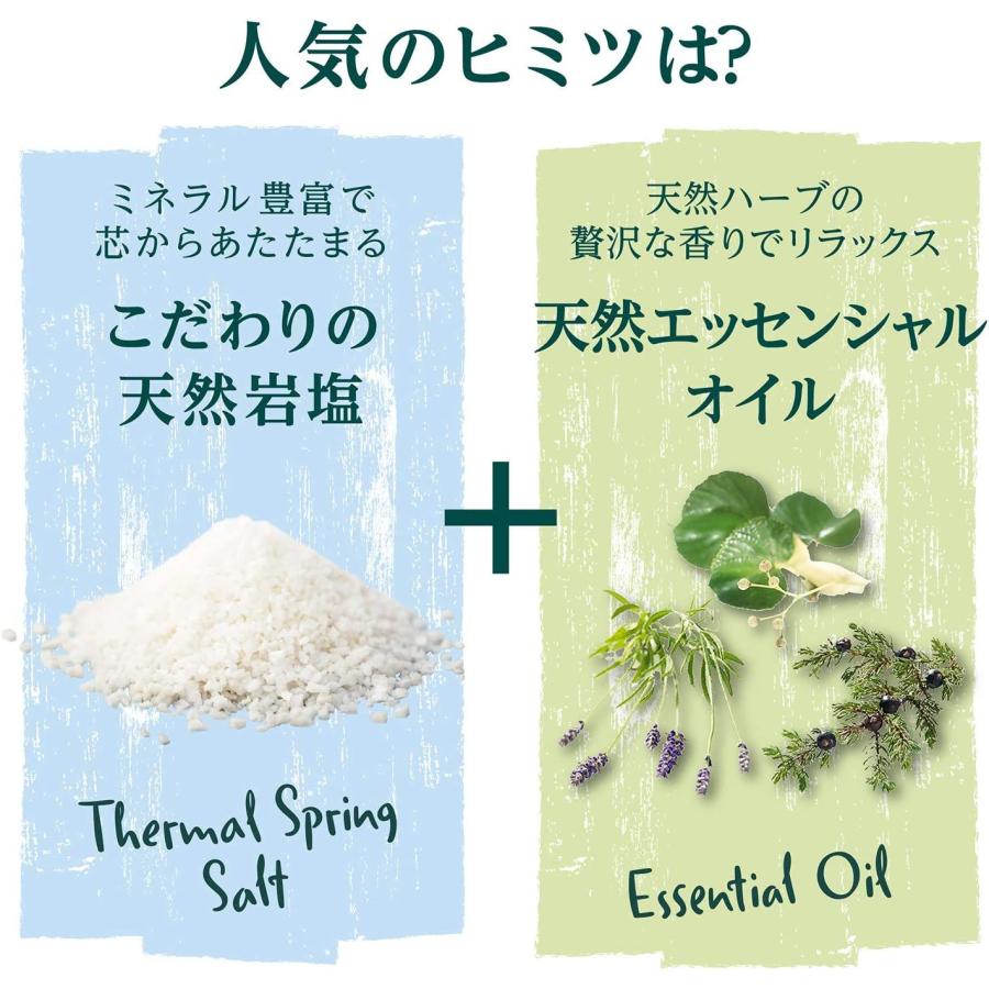 【12個セット】 クナイプ グーテナハト バスソルト ホップ&バレリアンの香り 850g (4580294850964-12)_2