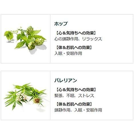 【12個セット】 クナイプ グーテナハト バスソルト ホップ&バレリアンの香り 850g (4580294850964-12)_4