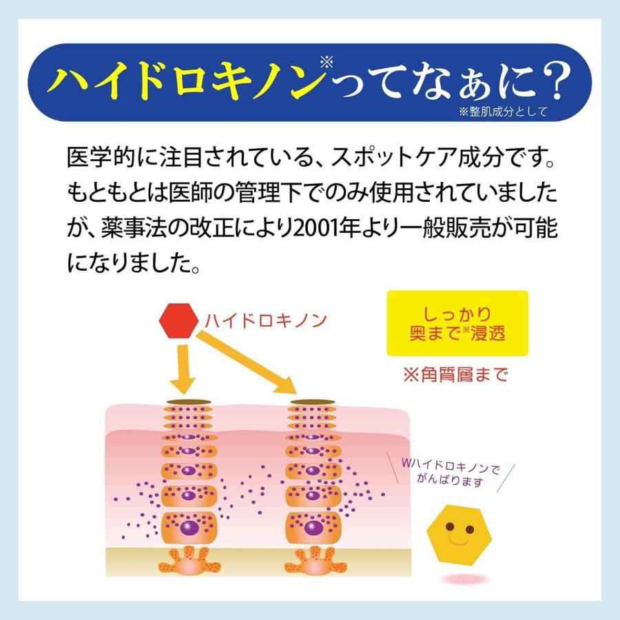 2個セット】 旭研究所 ハイドロキノンパッチ (43枚入り / シートマスク
