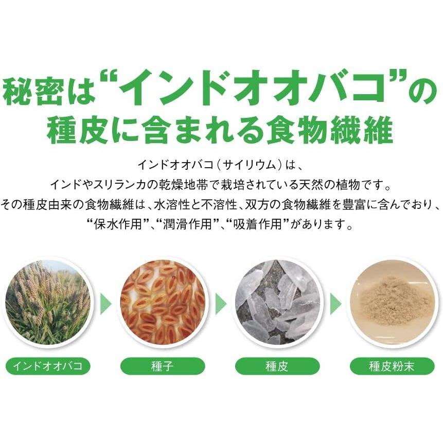 トリプルバリア 【機能性表示食品】 日清食品 オオバコ サイリウム 青