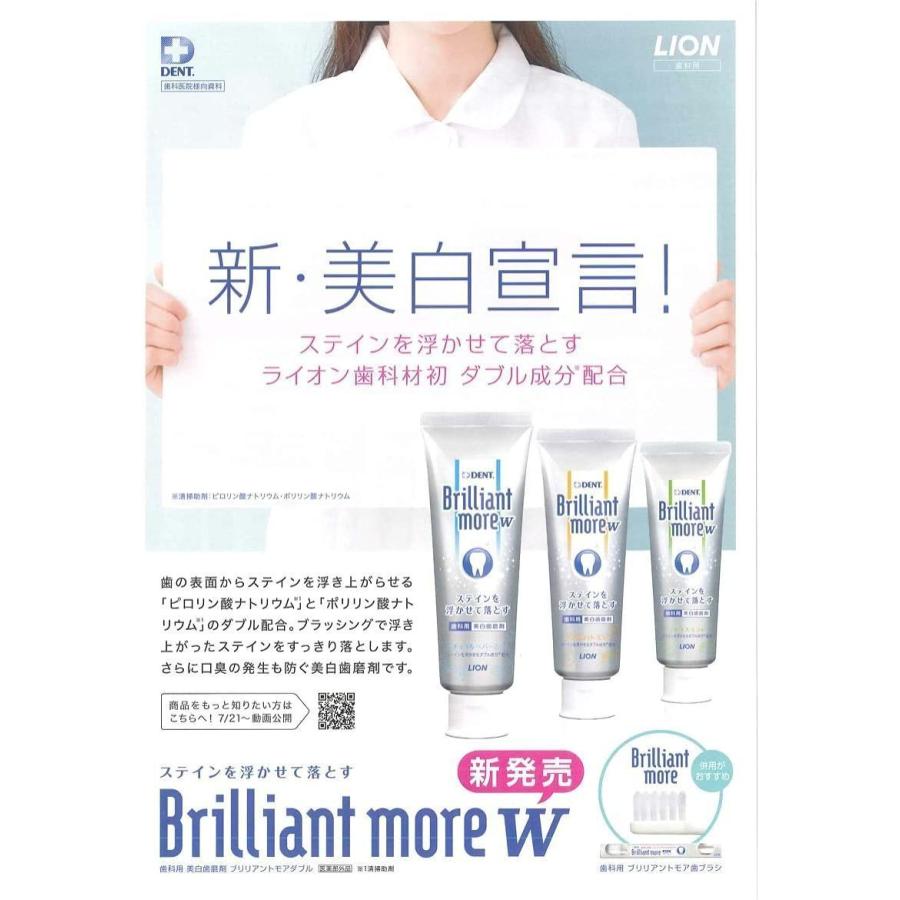 デントヘルス 【ライオン歯科材】 ブリリアントモア W シトラスミント