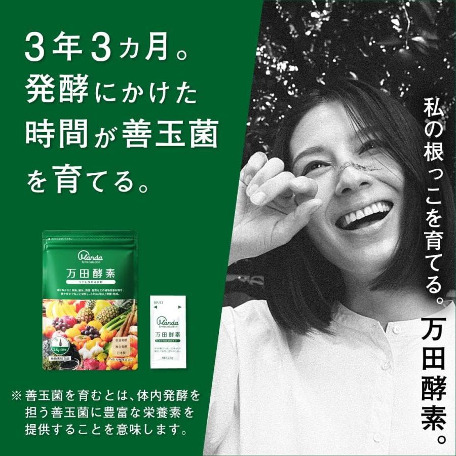 万田酵素 【2個セット】 スタンダード 2.5g×31包 (4909882100302-2 