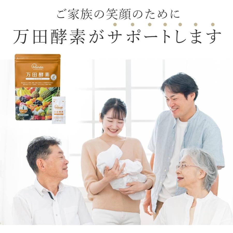 万田酵素 【3個セット】 ジンジャー 2.5g×31包 (4909882100319-3