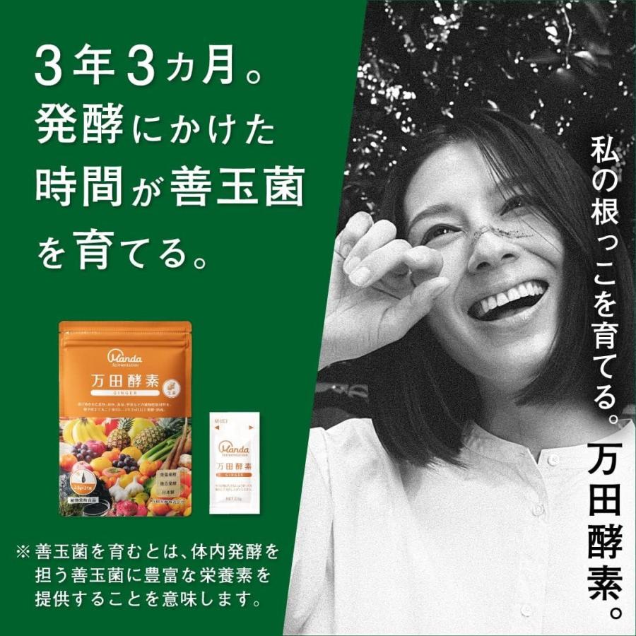 万田酵素ジンジャー 31包×3個セット 万田酵素 【3個セット】 ジンジャー 2.5g×31包 (4909882100319-3