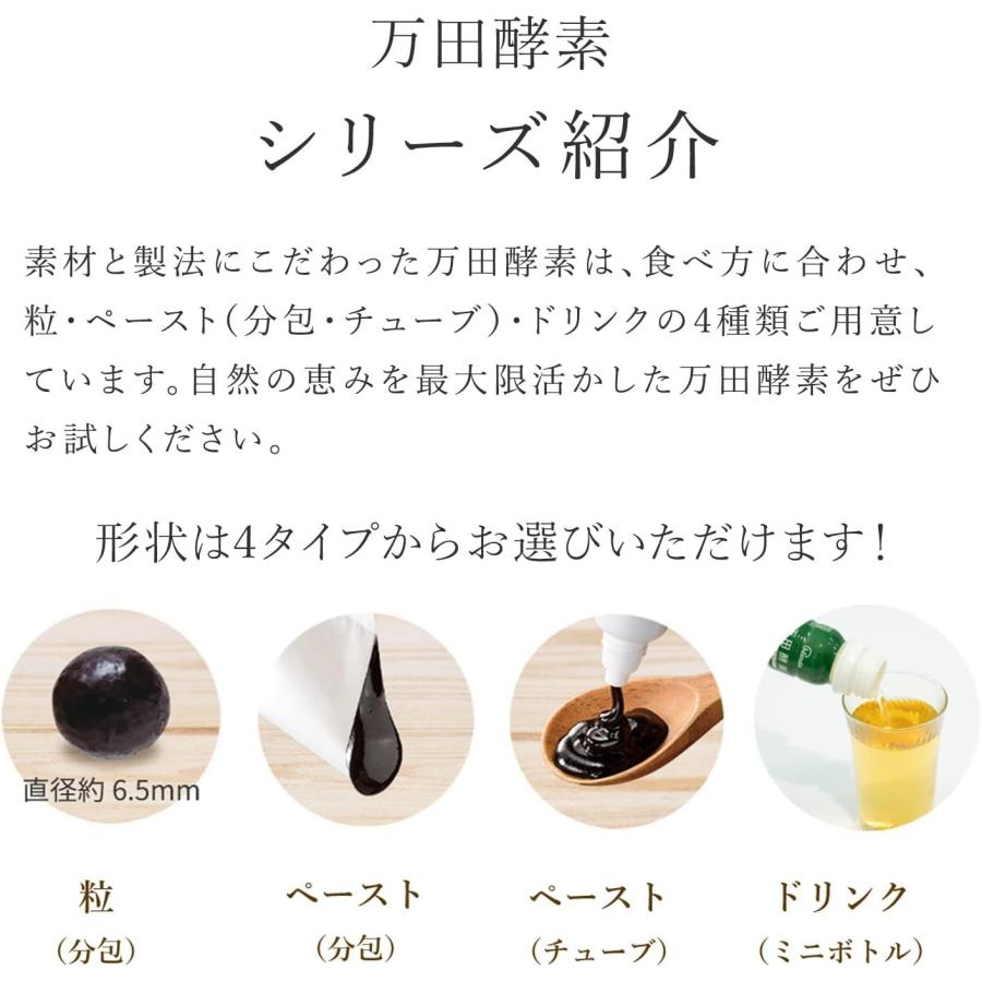 万田酵素ジンジャー 31包×3個セット 万田酵素 【3個セット】 ジンジャー 2.5g×31包 (4909882100319-3