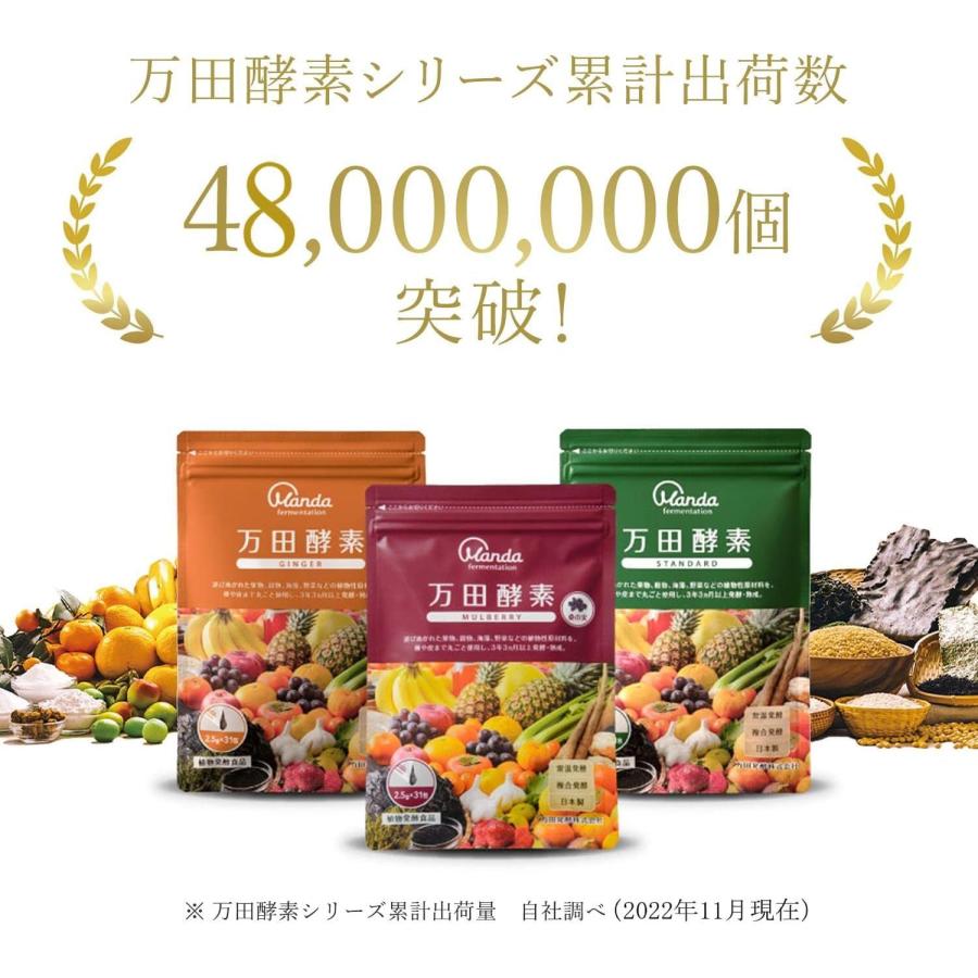 万田酵素ジンジャー 31包×3個セット 万田酵素 【3個セット】 ジンジャー 2.5g×31包 (4909882100319-3
