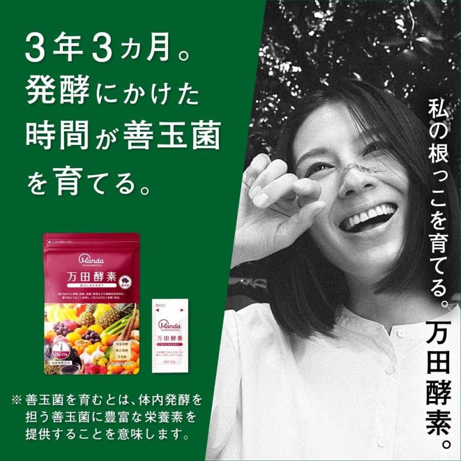 万田酵素 【3個セット】 マルベリー 2.5g×31包 (4909882100388-3