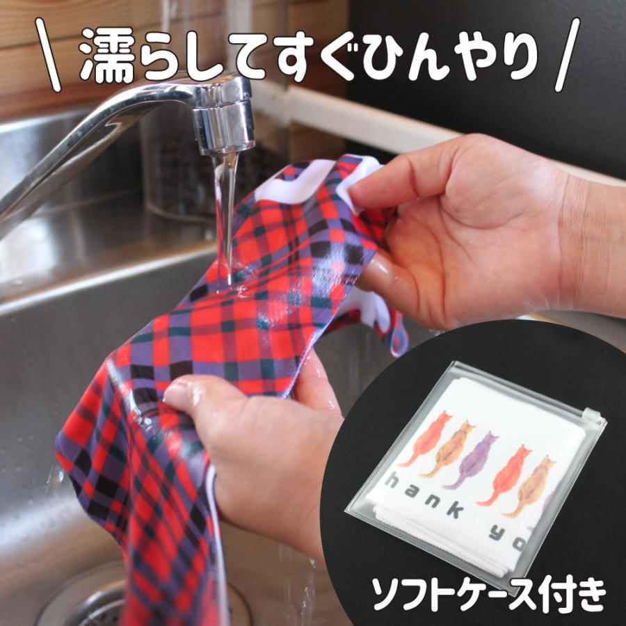 はちまき風 【冷感タオル】【Sサイズ】【ソフトケース付き】【6  成就 】 クールタオル 受験 部活 夏季講習 応援 お揃いで！【ポジティブグッズ】【受験】PSTV |  | 02