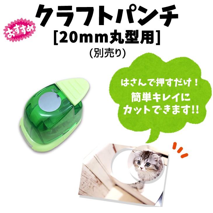 ハメパチ 【 □ ストラップ 】【 □ 20mm丸型 】 【 □ 100個セット 】 【 □ ストラップひも 】 手作り プレゼント材料 押し花 |  | 05