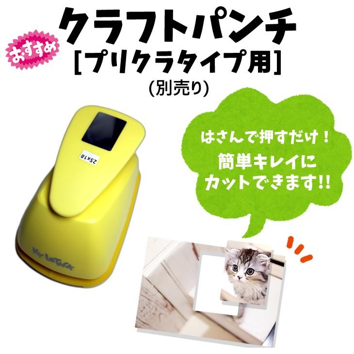 ハメパチ 【 □ ストラップ 】【 □ プリクラ型 】 【 □ 100個セット 】 【 □ ストラップひも 】 手作り プレゼント材料 押し花 |  | 05