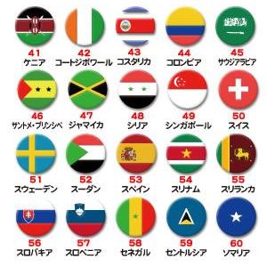 ピンズ（世界の国旗）25mm 1〜60 |  | 03