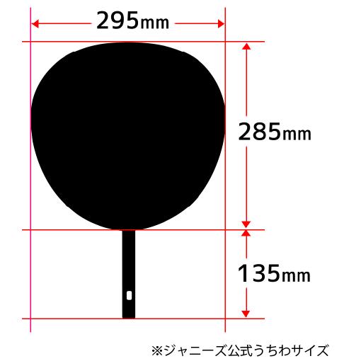 うちわ 片面うちわ(簡単オーダー シール 名前うちわ)応援うちわ 手作り アイドル |  | 06