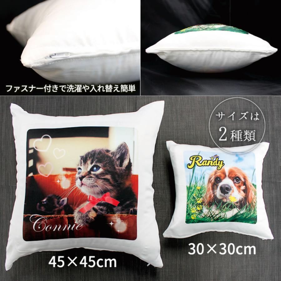 Web deco クッション【中央プリント 45×45cm 片面】【カバーのみ】 ペット 名入れ 自作 オーダーメイド 誕生日 プレゼント |  | 02