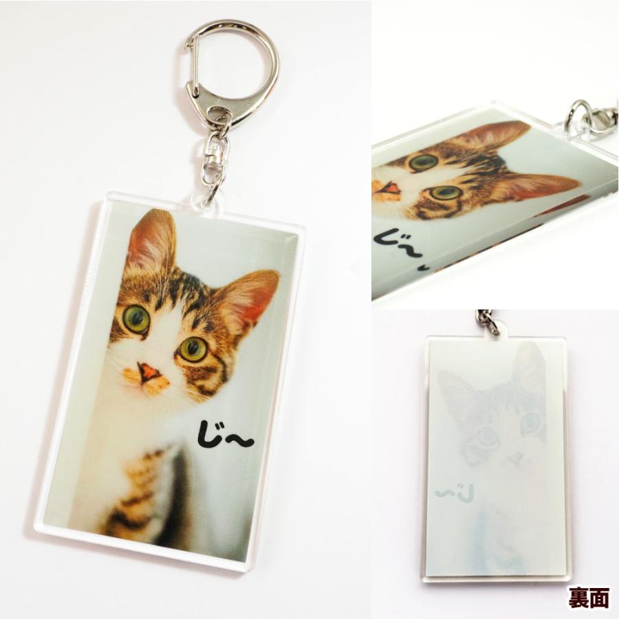 Web deco アクリル キーホルダー 【50×82】【単品】 アクキー