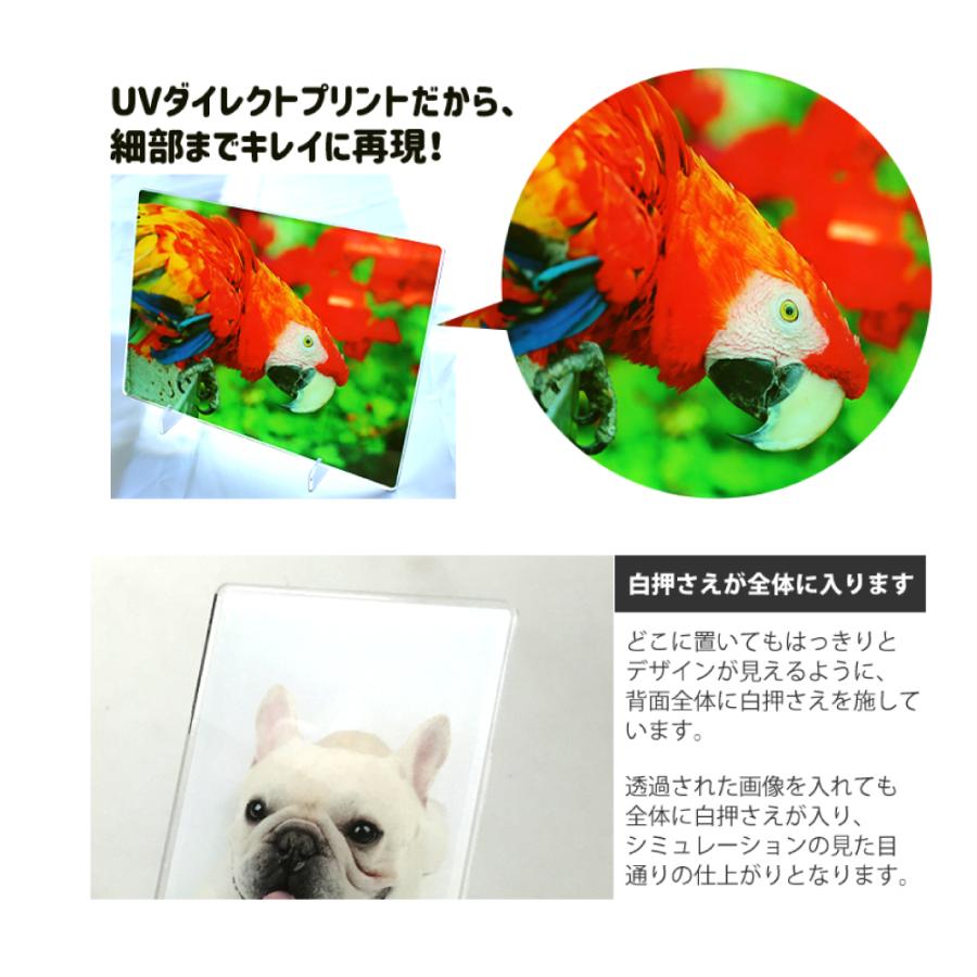 Web deco アクリルボード 【A4】【チェーン付き（40cm）】【単品】 ウェブデコ アクリル フォト プレート 写真 自作 プレゼント |  | 03