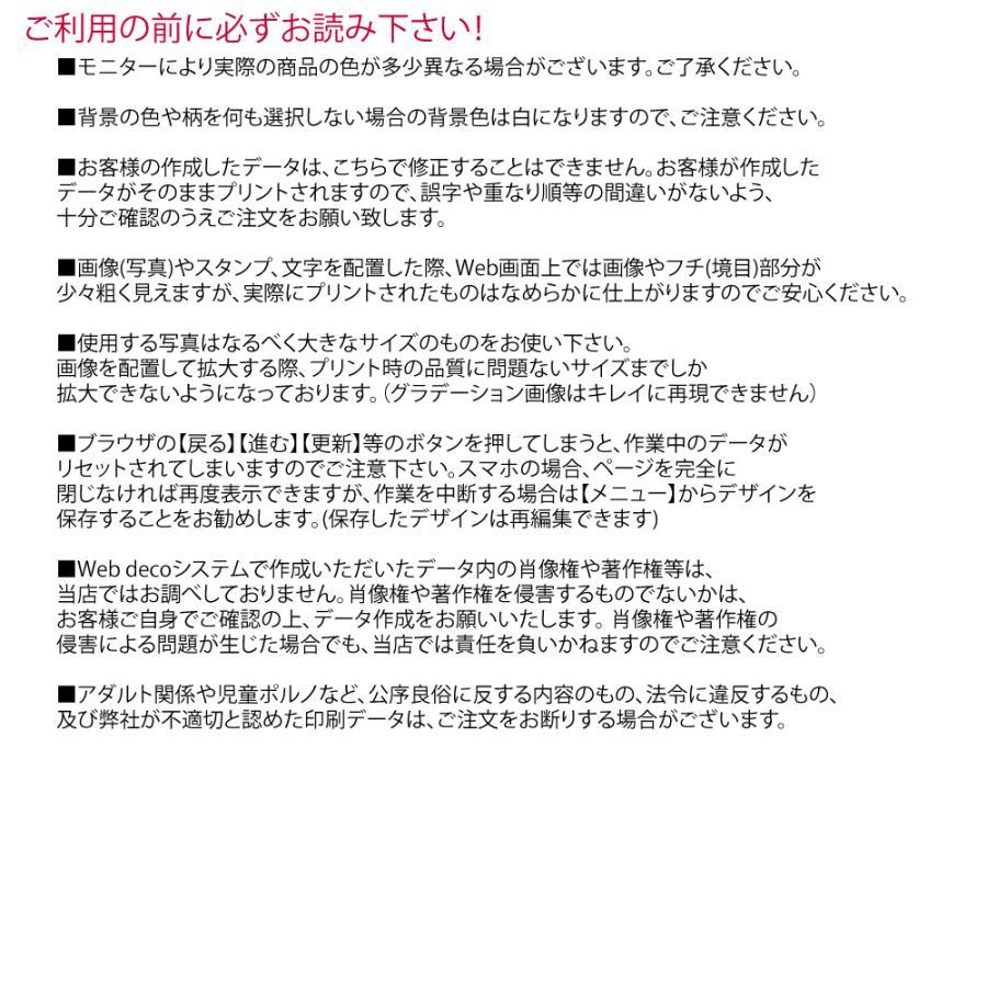 Web deco iPad Pro スキンシール 【13inch(M4)2024】単品 ウェブデコ 写真 自作 プレゼント |  | 10