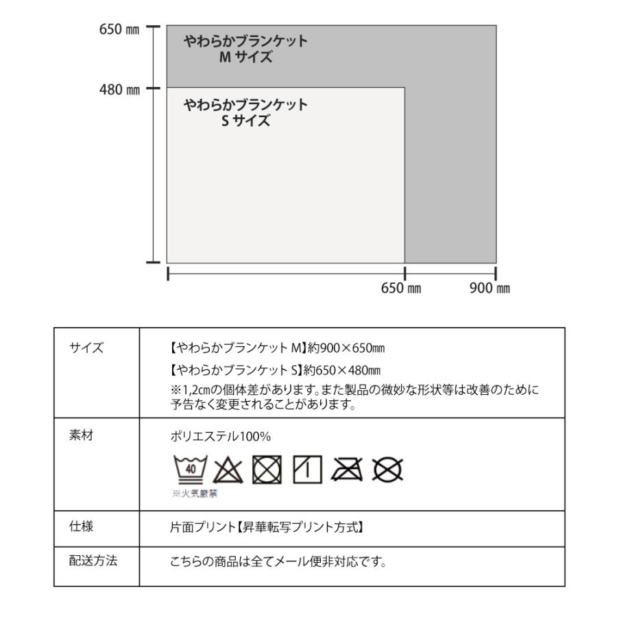 Web deco ブランケット 【やわらか M】【単品】 名入れ オーダーメイド プリント 写真 ペット 記念品 ギフト プレゼント 推し活 写真 自作 七五三 |  | 02