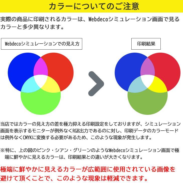 Web deco iPhone スキンシール 【 iPhone17e用 】単品 ウェブデコ スマホカバー 写真 自作 プレゼント |  | 13