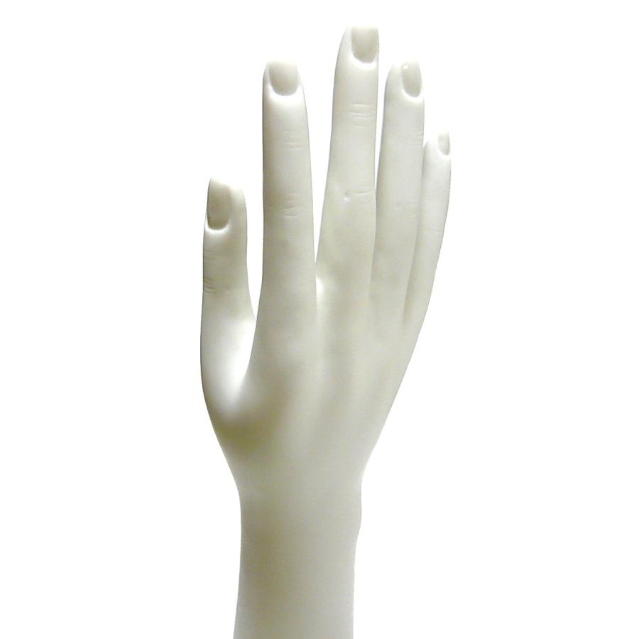 ハンドマネキン 手の模型 女性 実物大 ネイル練習 スタンド付 : fun