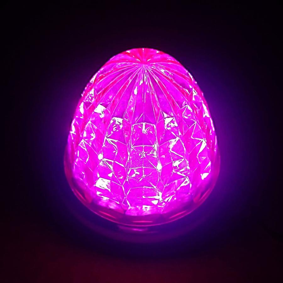 24V トラック用 LED マーカーランプ サイド マーカー 8面クリスタル
