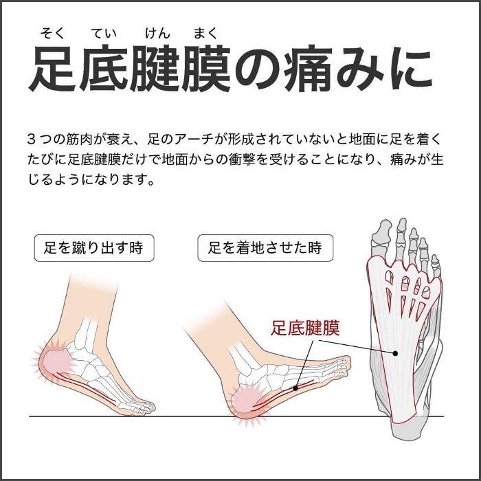Activital（アクティバイタル） 爆買 プロ ソックス L-LLサイズ 26.0