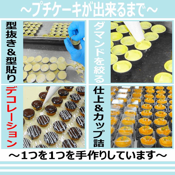 セシボン-Cestsibon-プチケーキ20個入 節分 バレンタイン 義理チョコ