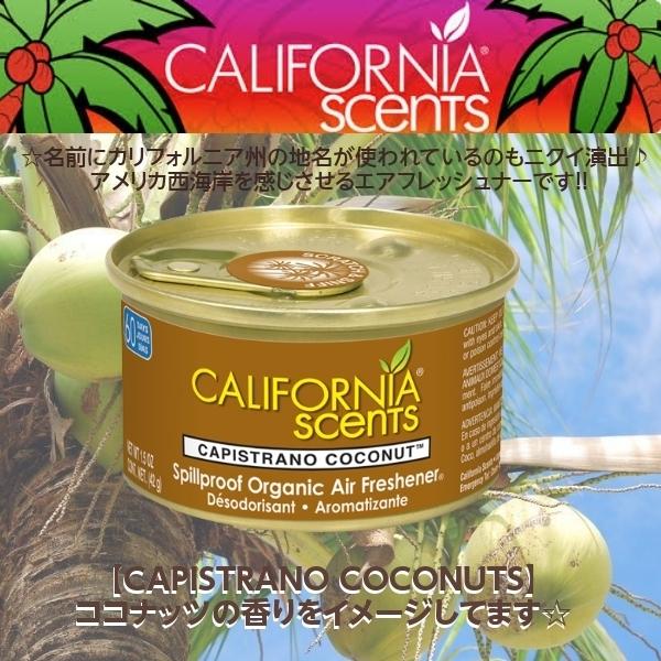 芳香剤 カリフォルニアセンツ ミニ缶 12個セット 置き型 固形タイプ 9種類香 Made In U S A 車用芳香剤 エアーフレッシュナー 室内用 芳香剤 アメリカ Sents001set Fun Funny 通販 Yahoo ショッピング