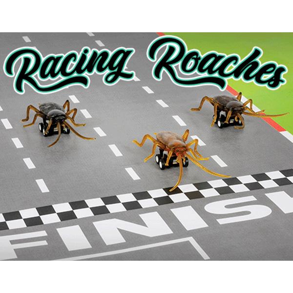 レーシング ゴキブリ 8個セット プルバック式 コックローチ ジョーク