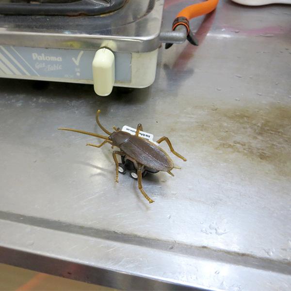 レーシング ゴキブリ 8個セット プルバック式 コックローチ ジョーク