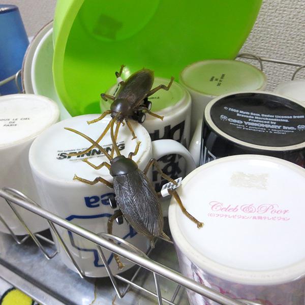 レーシング ゴキブリ 8個セット プルバック式 コックローチ ジョーク