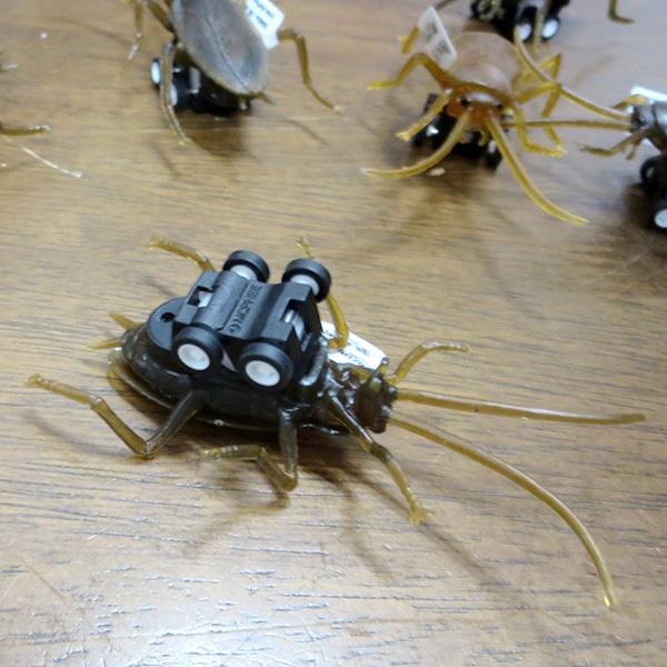 レーシング ゴキブリ 8個セット プルバック式 コックローチ ジョーク