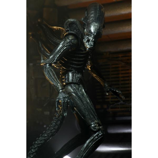 NECA エイリアン　ビッグチャップ アルティメット40th記念版 新品未使用 Amazon.co.jp: ネカ エイリアン 40th アニバーサリー ビッグ
