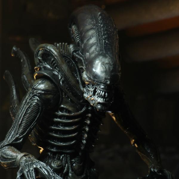 NECA ネカ エイリアン 7