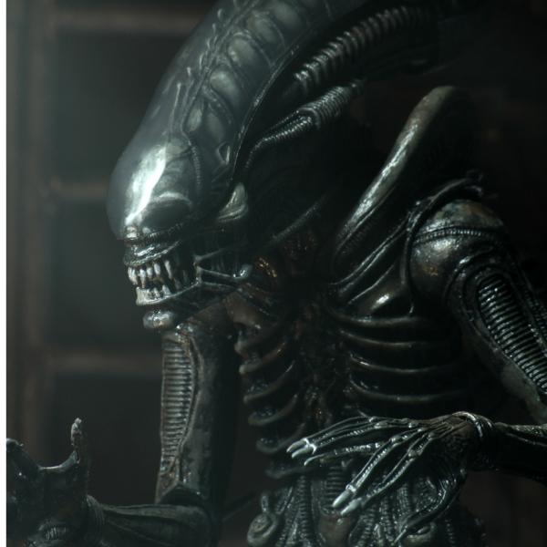 NECA ネカ エイリアン 7