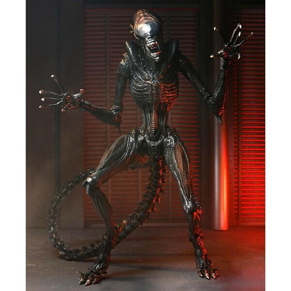 NECA（ネカ） エイリアン ロムルス 7インチ アクションフィギュア
