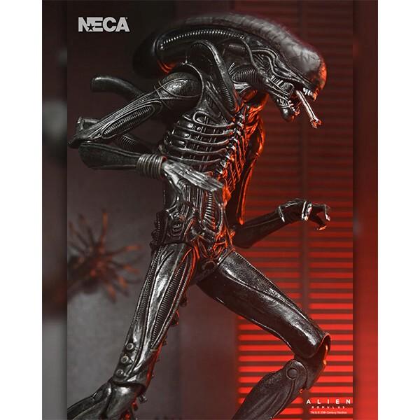 NECA（ネカ） エイリアン ロムルス 7インチ アクションフィギュア NECA
