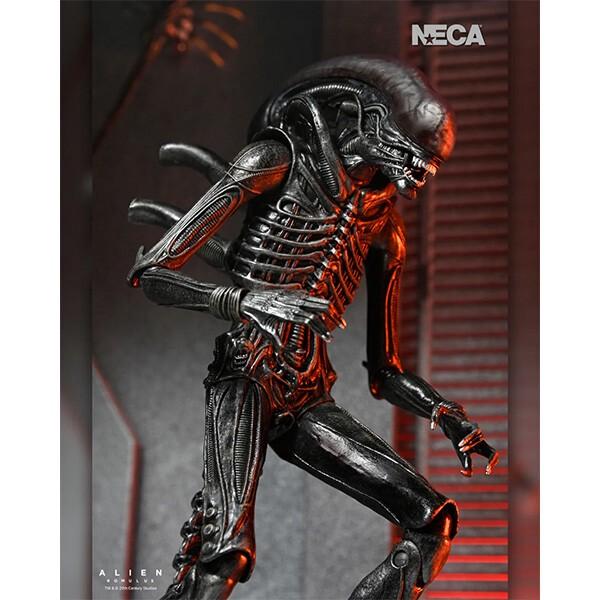NECA（ネカ） エイリアン ロムルス 7インチ アクションフィギュア NECA