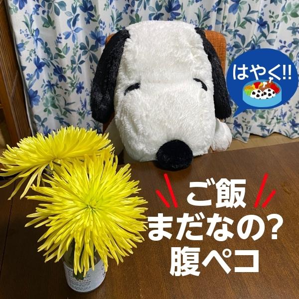 SNOOPY 【送料無料】スヌーピー ぬいぐるみ L サイズ 高さ55cm SNOOPY 【送料無料】スヌーピー ぬいぐるみ L サイズ 高さ55cm