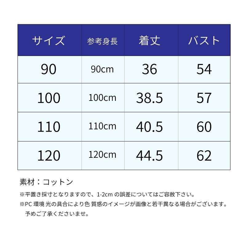 子供 キッズ 服 Tシャツ 半袖 スイカ 90-120cm ブルー ピンク 男女兼用
