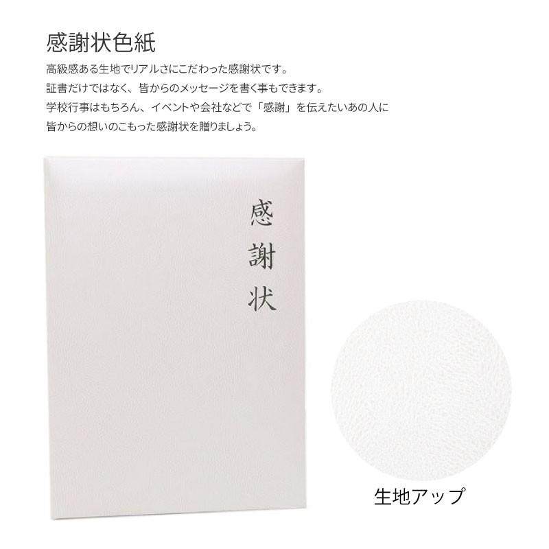 感謝状 色紙 寄せ書き 印象に残る 思い出 卒業 イベント 会社 退職 転職 お祝い 母の日 Scoloredpaper 03 150 Fun Daily 通販 Yahoo ショッピング