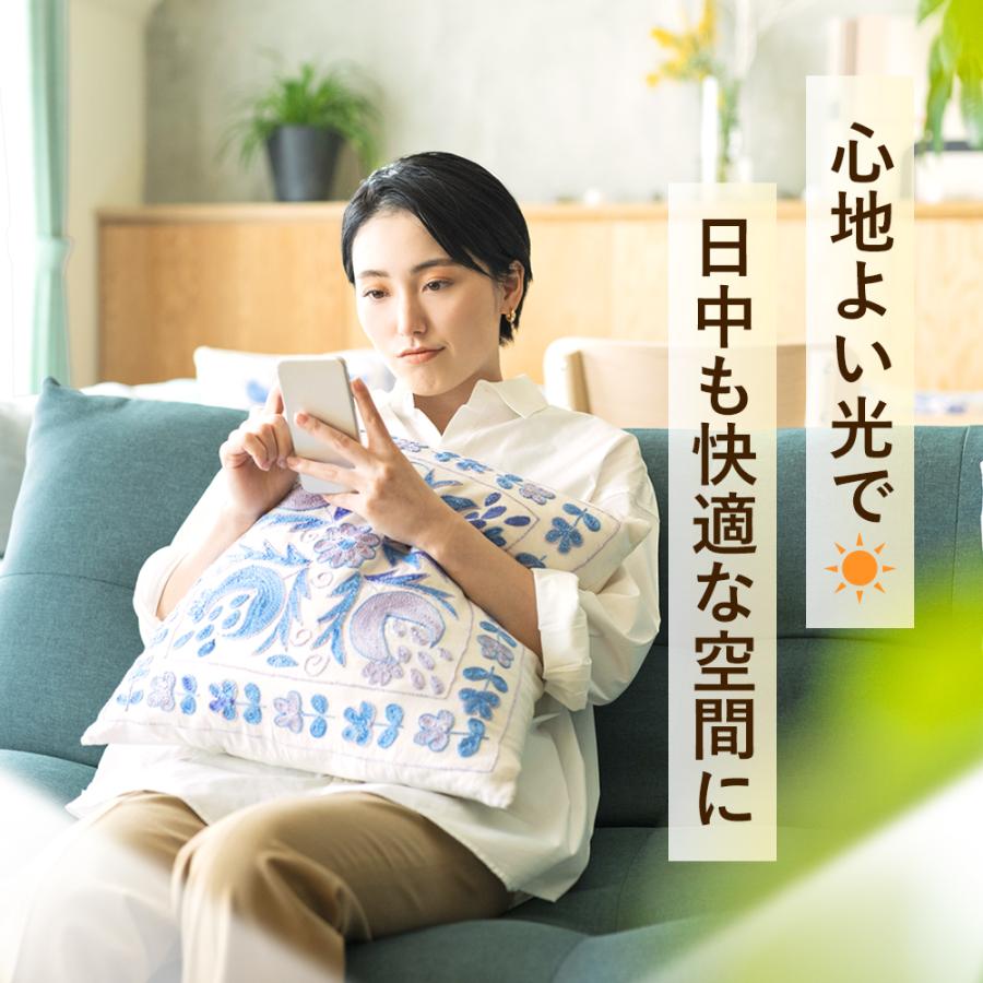 ドレープ 非遮光 カーテン 2枚セット ドット ストライプ 柄 幅100