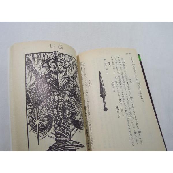 ファイティング・ファンタジー9 雪の魔女の洞窟（シート付